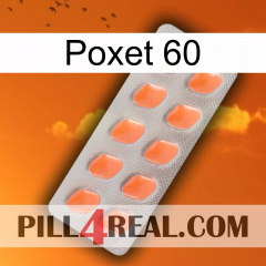 Poxet 60 26